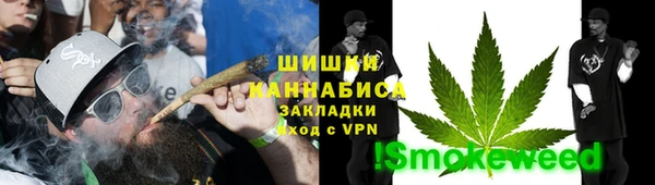 спайс Алексин