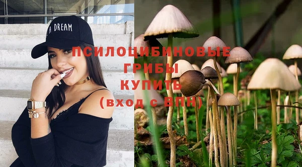 спайс Алексин